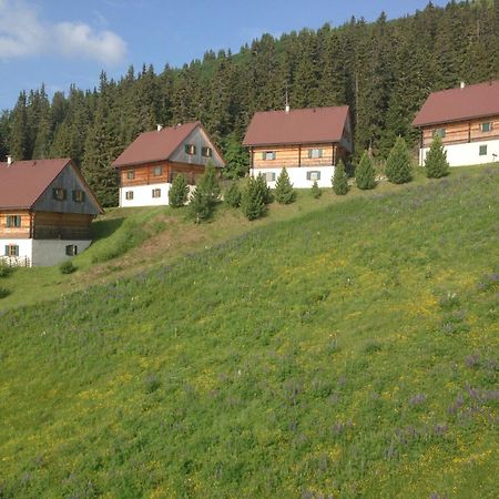 Moselebaueralm Villa Klippitztorl Ngoại thất bức ảnh