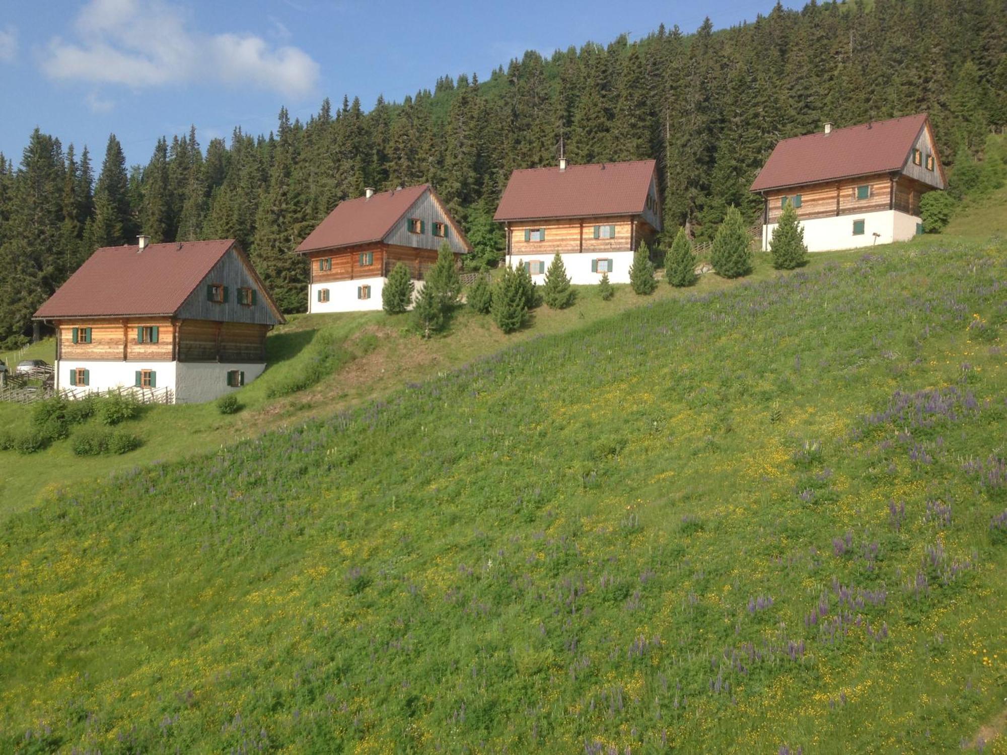 Moselebaueralm Villa Klippitztorl Ngoại thất bức ảnh