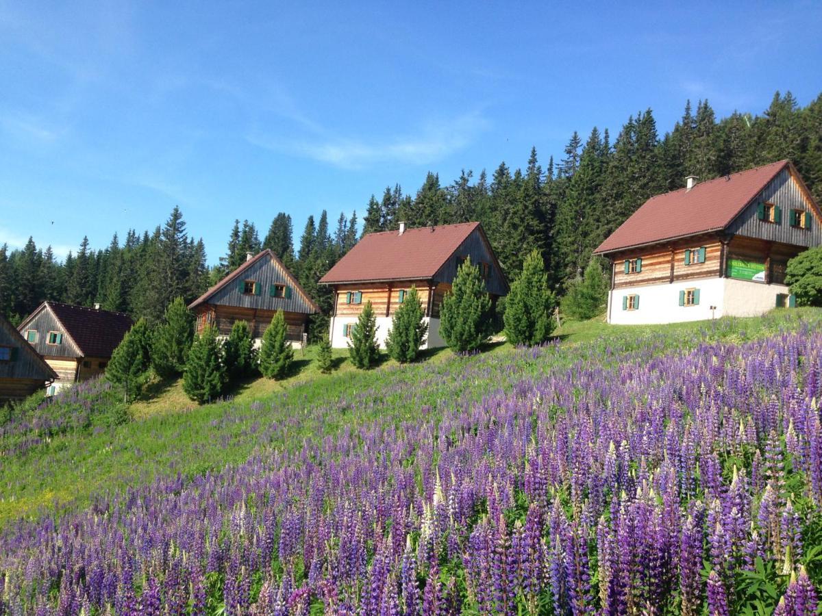 Moselebaueralm Villa Klippitztorl Ngoại thất bức ảnh